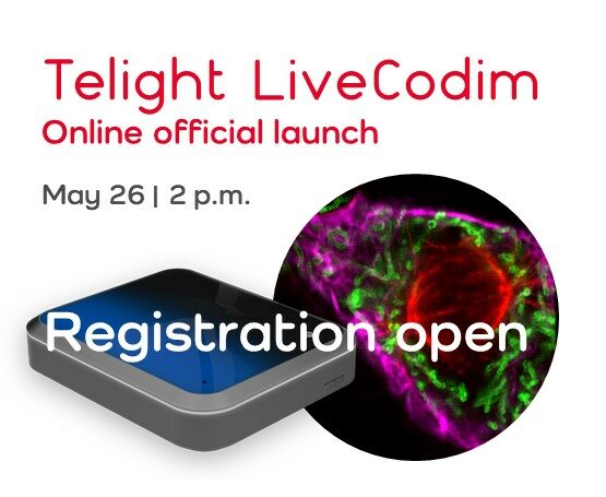 LiveCodim – online official launch session