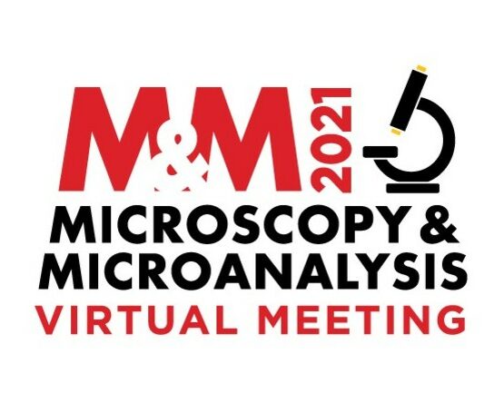 M&M 2021 (Aug 2-5, online)