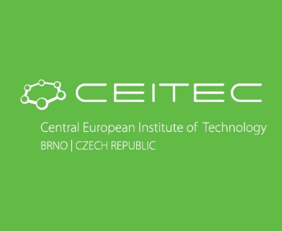 Personalized cancer treatment? The latest version of Telight Q-Phase will help CEITEC researchers