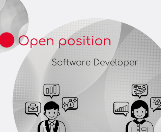 Software developer