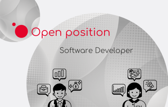 Software developer